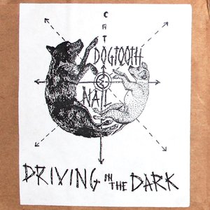 Driving In The Dark