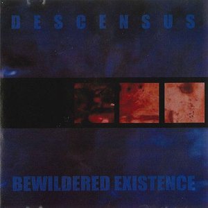 Bewildered Existence