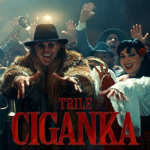 Ciganka