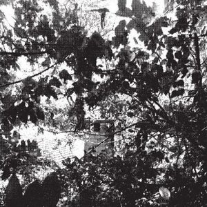 Pantheonic Pestis