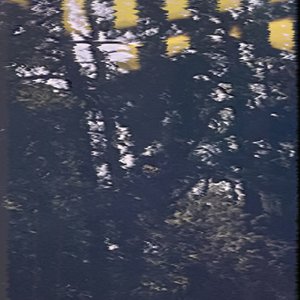 Variations On White Noise