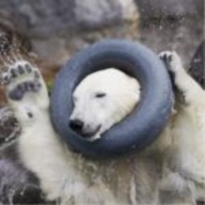 Avatar for 綾葉