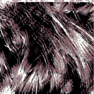 Avatar for shikaku