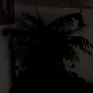 Avatar for 756