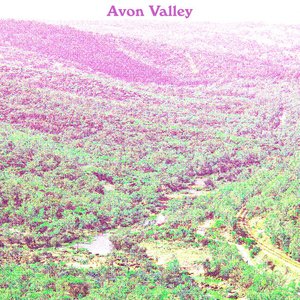 Avon Valley