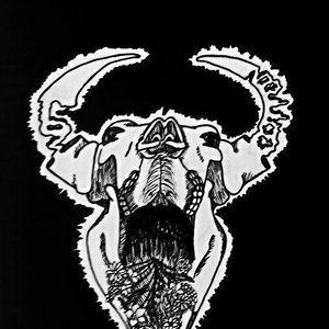 Avatar for Low cotton