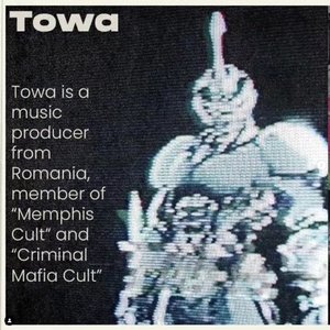 Avatar for towa