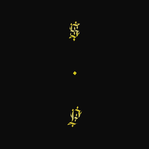 Black Up de Shabazz Palaces