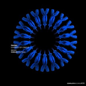 Chords of Circle