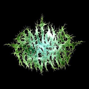 Gallows For Grace