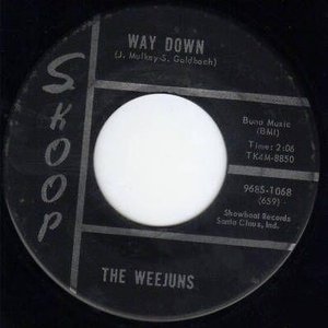 Avatar for The Weejuns