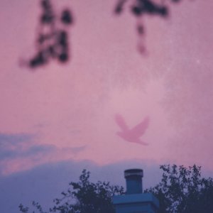 Dove
