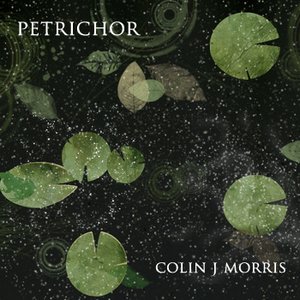 Petrichor
