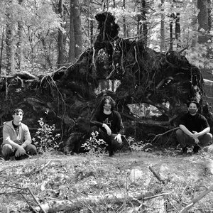 Avatar für MOON MACHINE