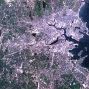 Avatar for Megalopolis