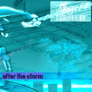 after the storm