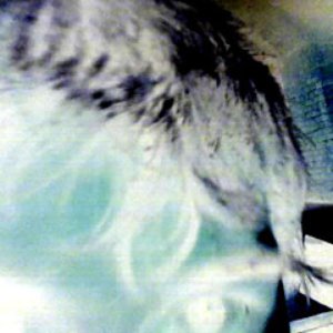 Avatar for Xxipz