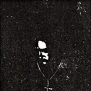 Avatar for Visions Of Niften