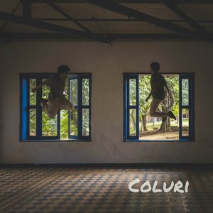 Coluri