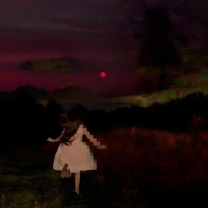 hallucinate