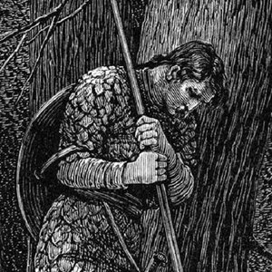 Avatar for In the Vast Forest