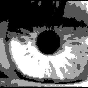 Avatar für Brain Cellar