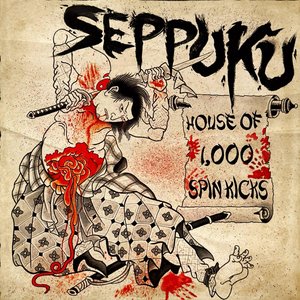 House of 1000 Spin Kicks