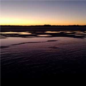 brightest before twilight by Corvid Canine