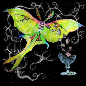 Drama Moth