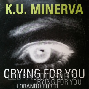 Artwork for Llorando Por Ti (Remix)
