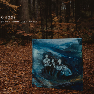 Artwork for Hasse a'S