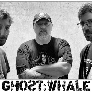 Avatar for Ghost:Whale