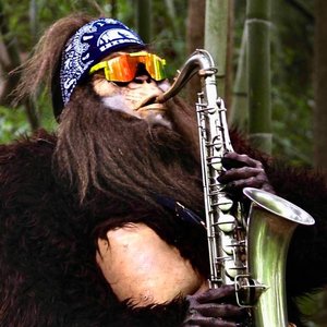 Avatar for Saxsquatch