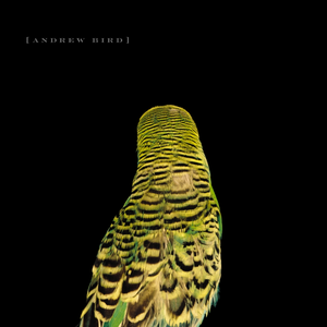 Armchair Apocrypha album cover