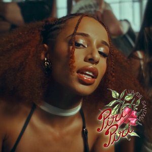 PiRi PiRi - Single