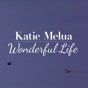 Wonderful Life album cover