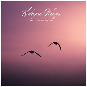 Avatar di Halcyon Wings