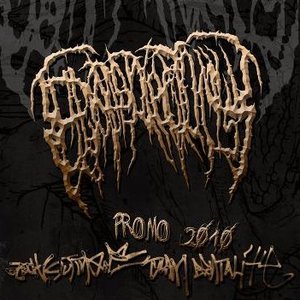 Promo 2010