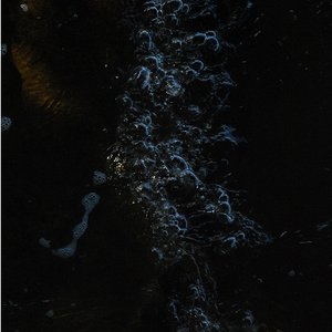 Avatar for Pulsing