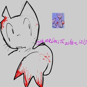 USED / NULL