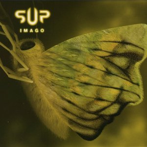 Imago