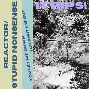 REACTOR/STUPID NONSENSE