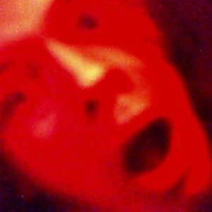 Avatar for This Is Fucking Gay