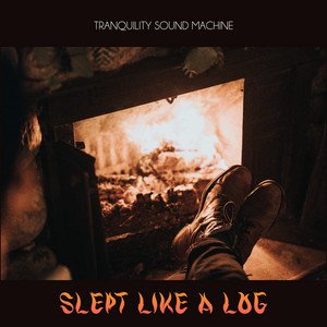 Slept Like A Log
