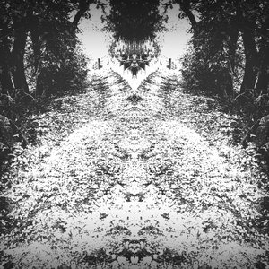 Fractured Youth