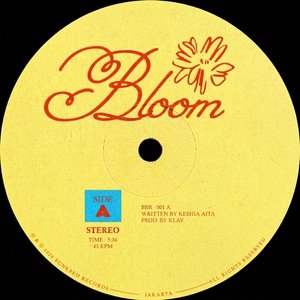 Bloom