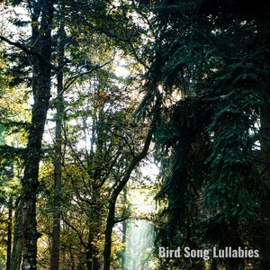 Singing Birds