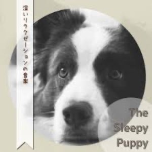 Avatar for Sleepy Puppy