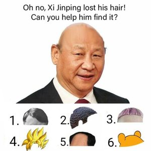 Avatar for Xi Jinping