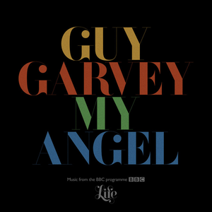 My Angel (From The BBC Programme "Life") album cover
